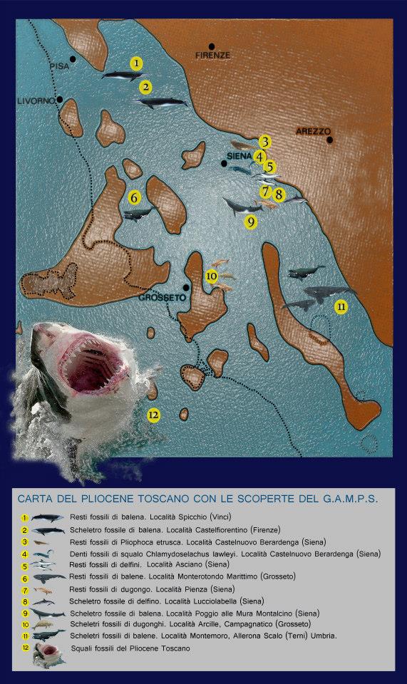 Nuova cartellonistica